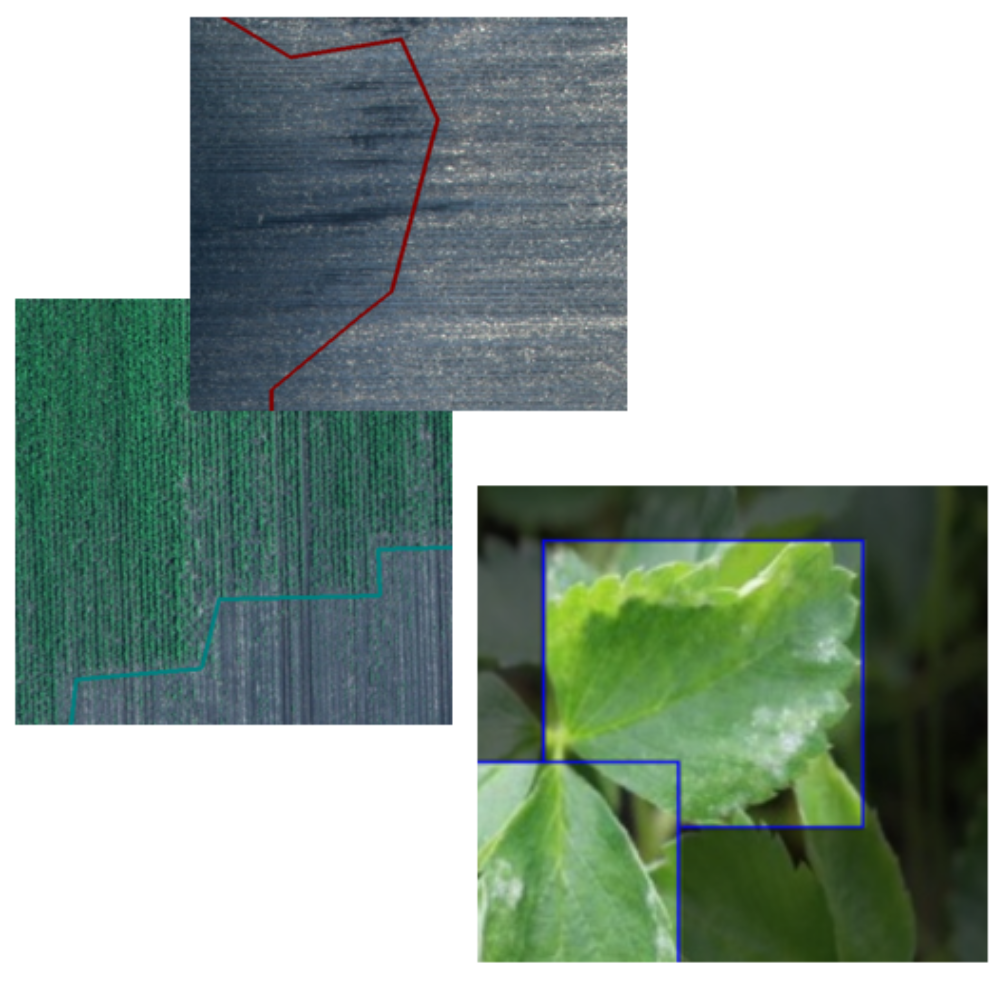 AgriSense